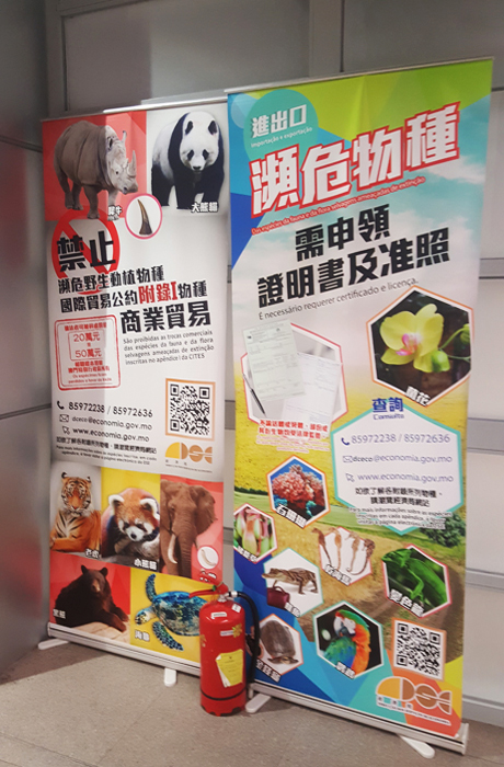 易拉寶